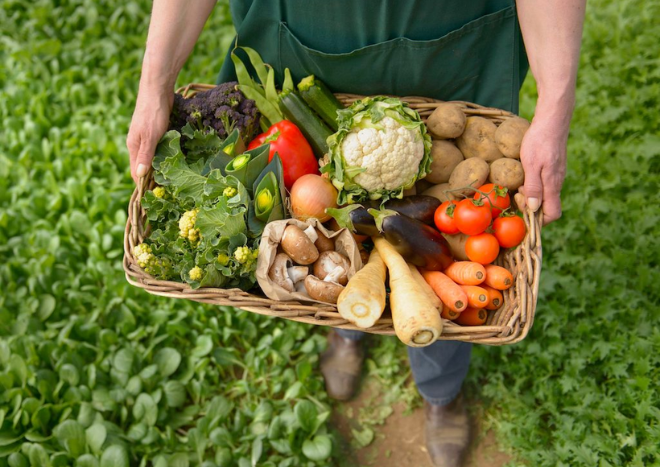 Nuôi dưỡng cơ thể bằng những lựa chọn thực phẩm hài hòa